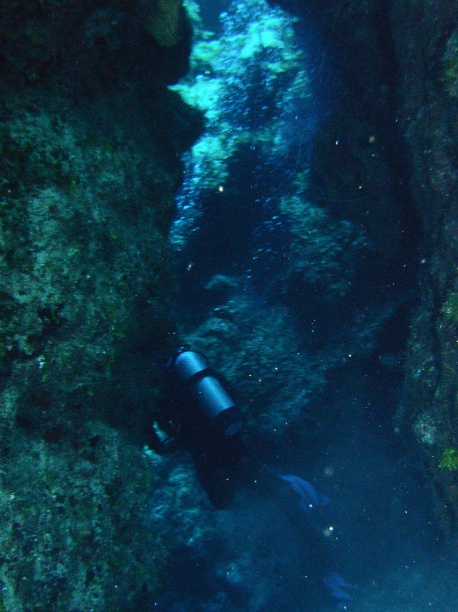 RIMG0788