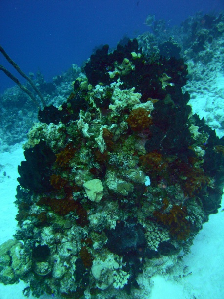 RIMG0846