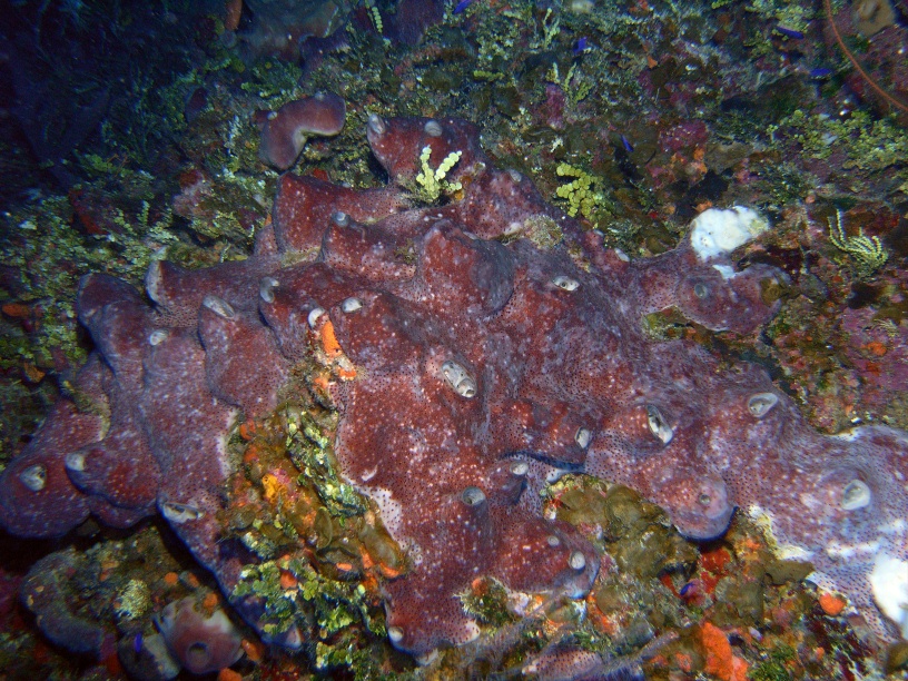 RIMG0857