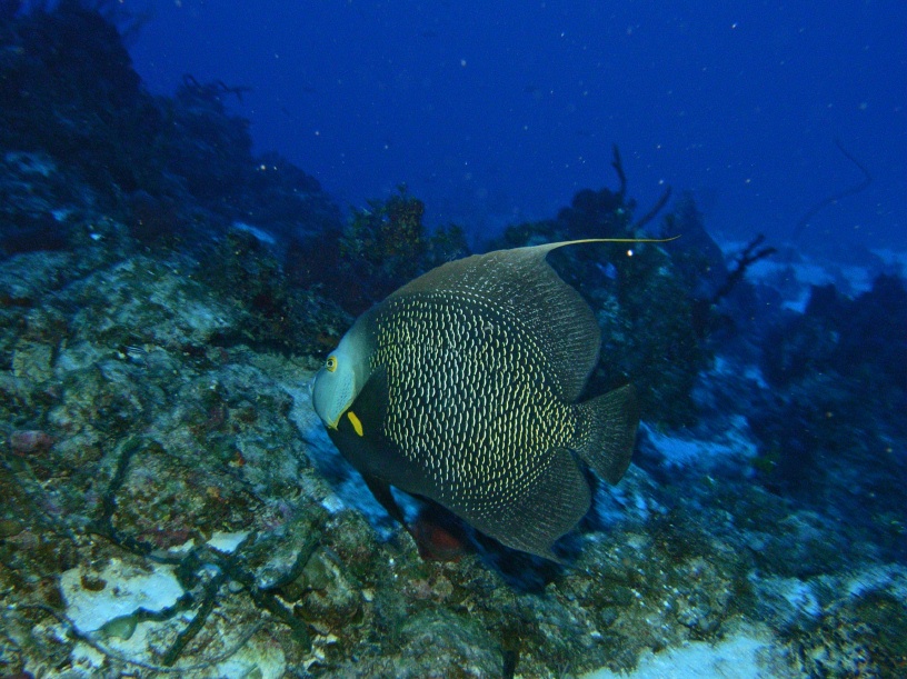 RIMG0878