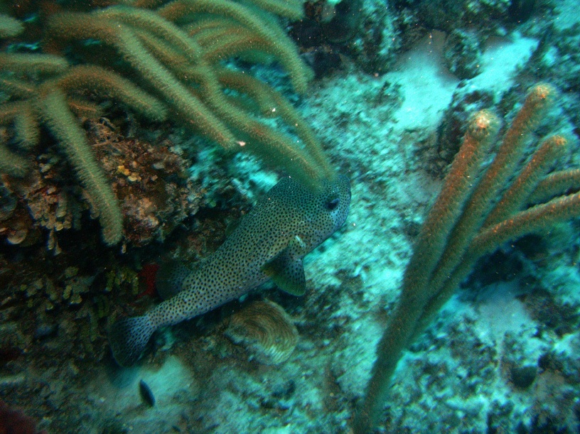 RIMG0911