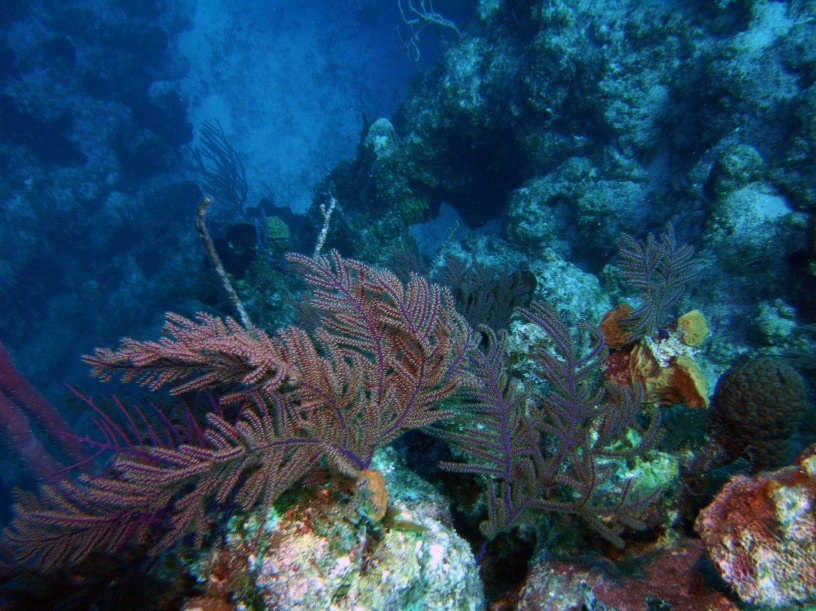 RIMG0938