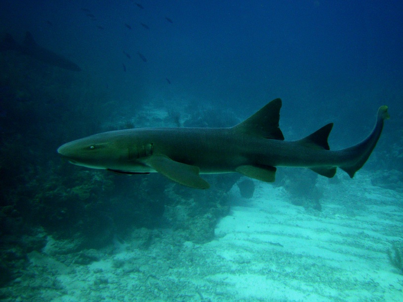 RIMG2329