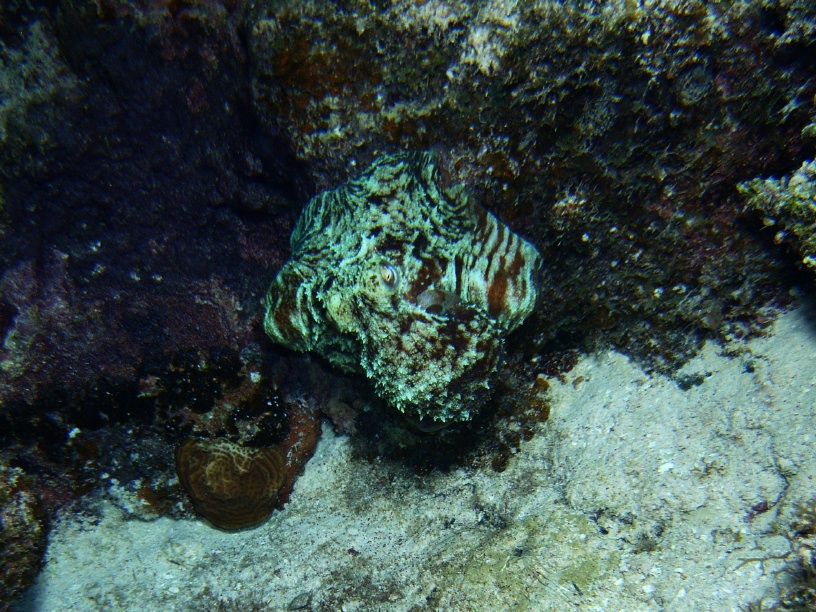 RIMG2406