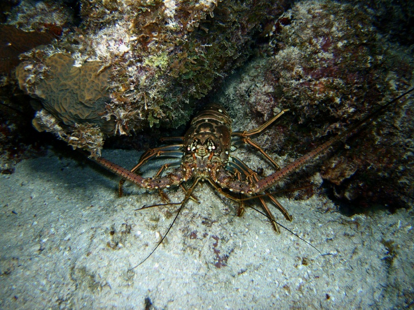 RIMG2422