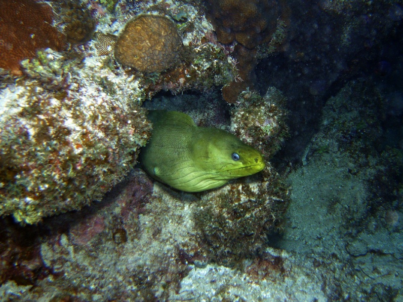 RIMG2424
