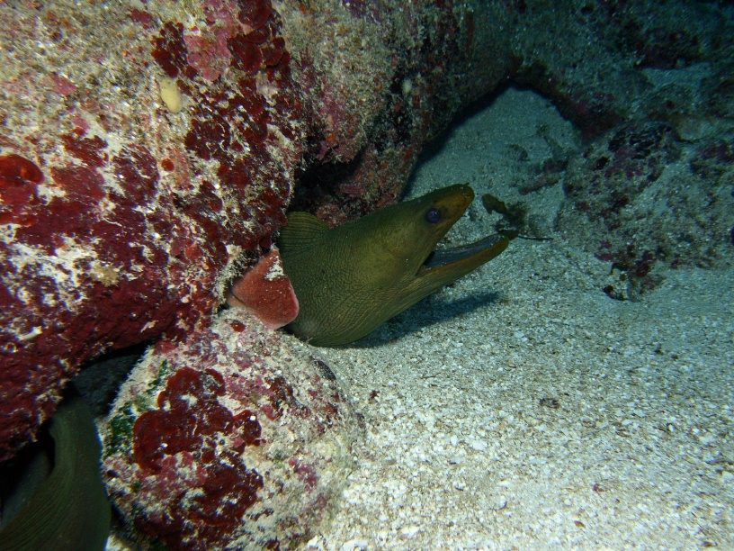 RIMG2438