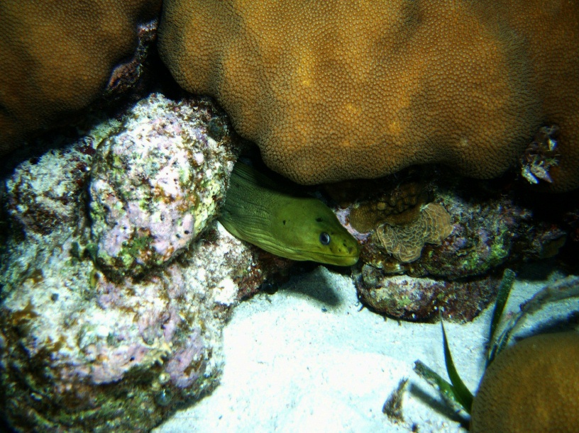 RIMG2465