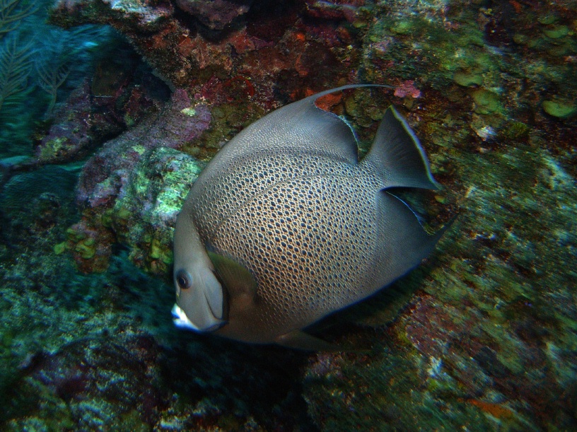 RIMG2516