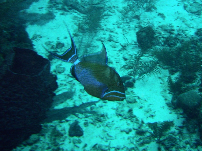 RIMG2537