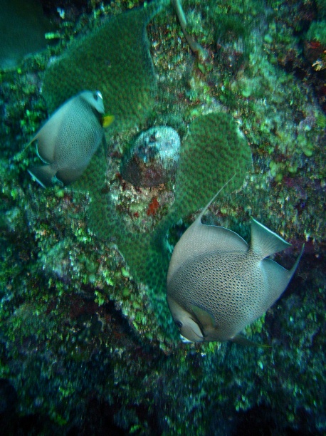 RIMG2566
