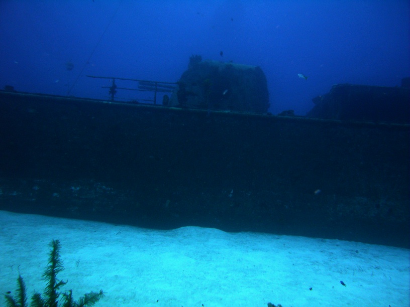 RIMG5480