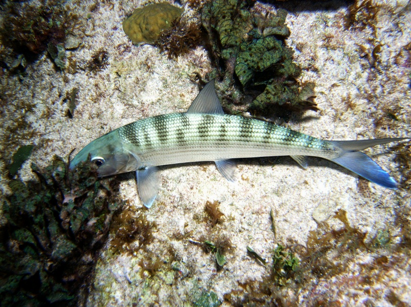 RIMG5554