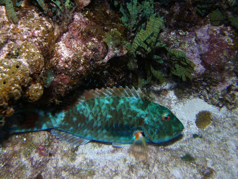 RIMG5556