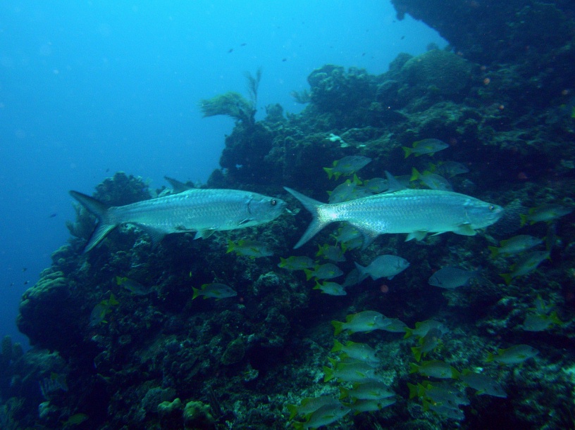 RIMG5569