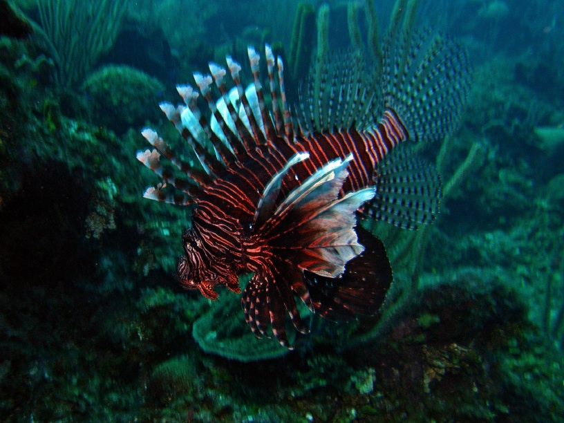 RIMG5561