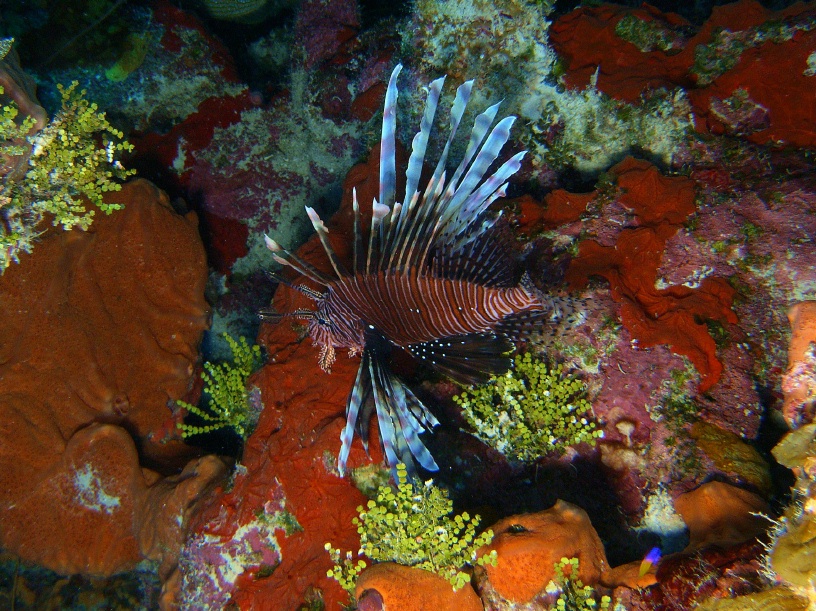 RIMG5684