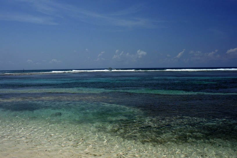 DSCF1019
