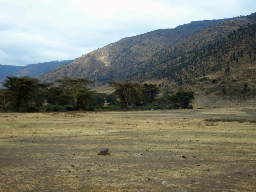 RIMG4046 copy