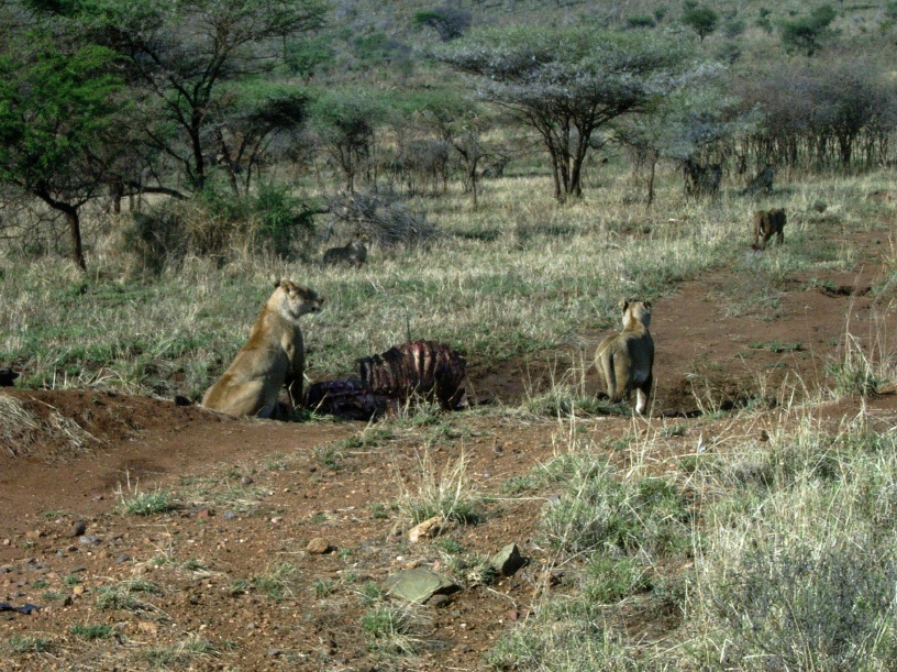 RIMG4127 copy