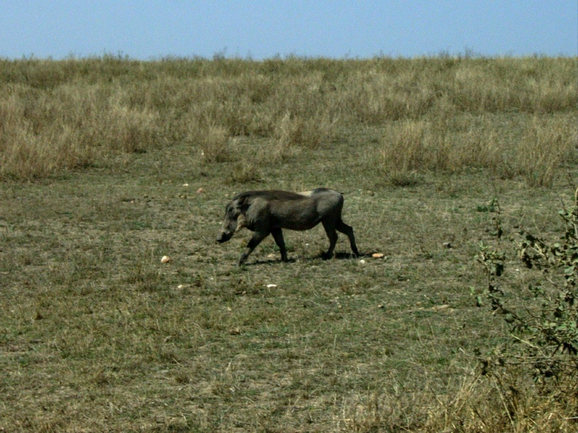 RIMG4270 copy