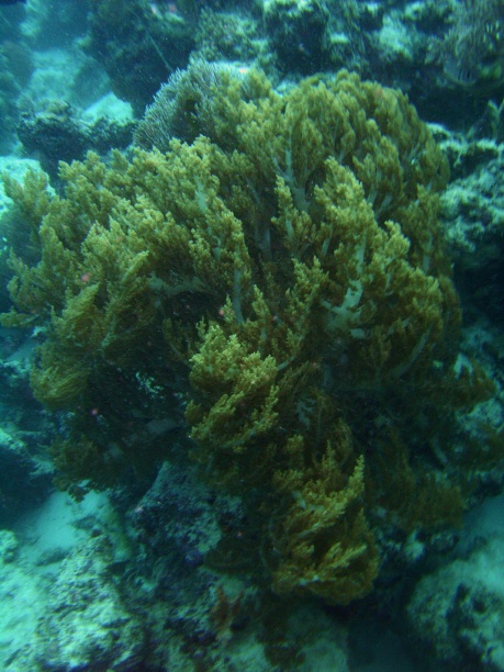 RIMG4304 copy