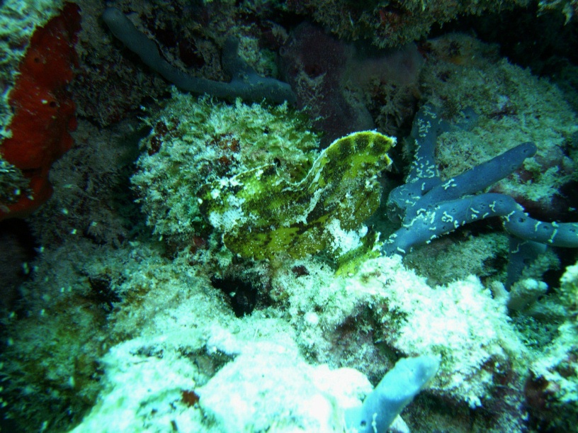 RIMG4313 copy