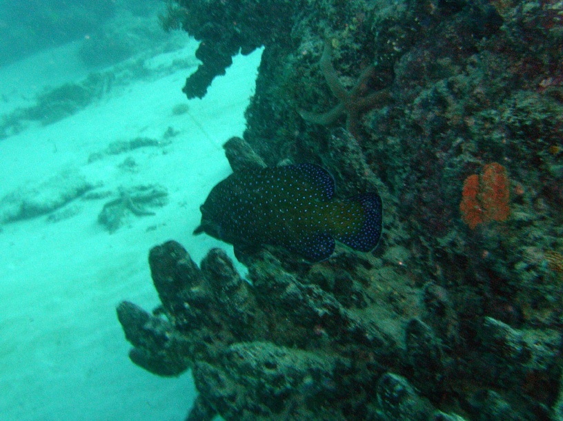 RIMG4328 copy