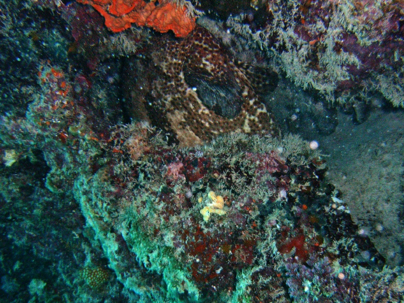 RIMG4327 copy