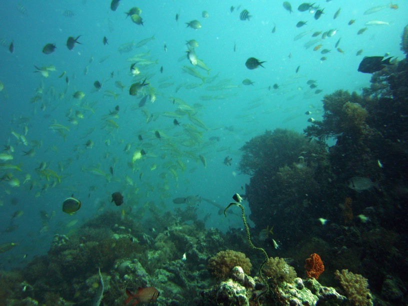 RIMG4332 copy