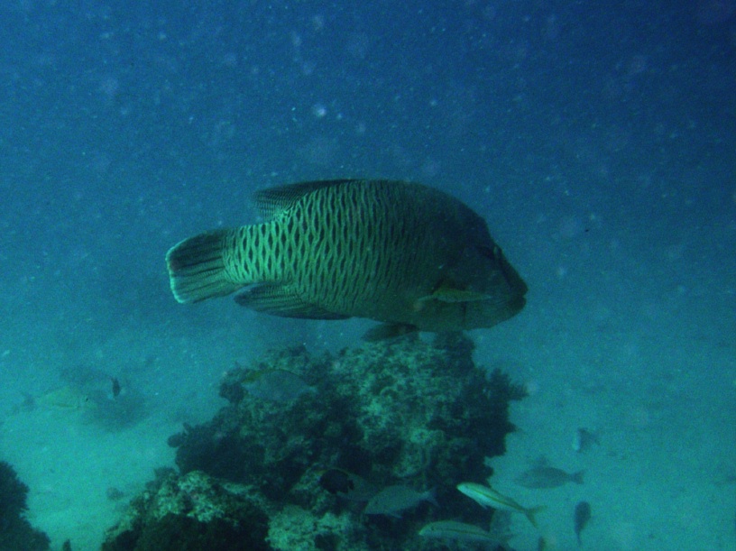 RIMG4335 copy