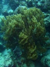 RIMG4304 copy