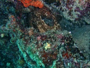 RIMG4327 copy