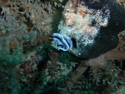 RIMG4341 copy