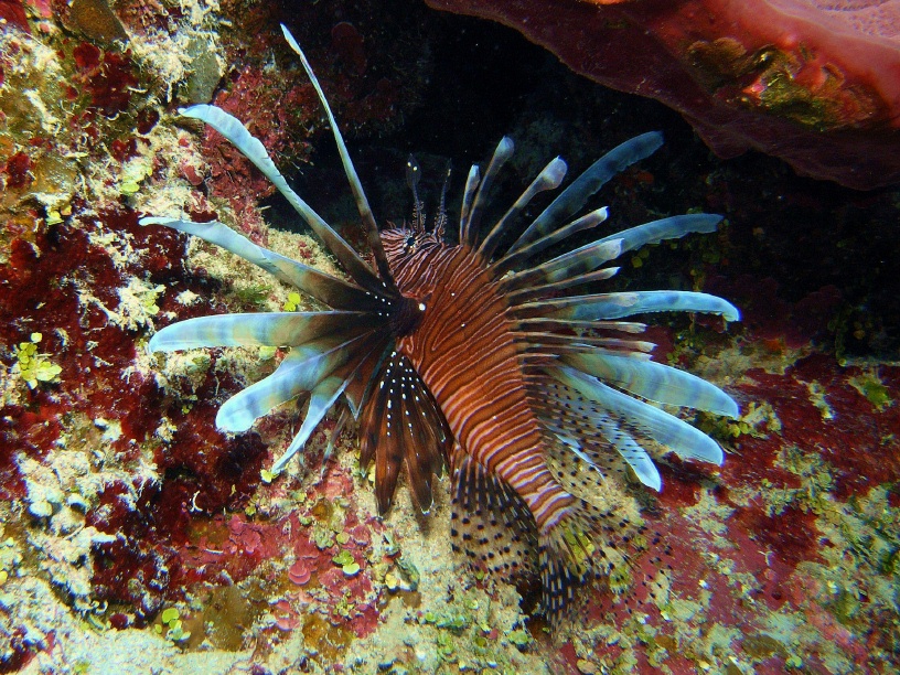 RIMG5742