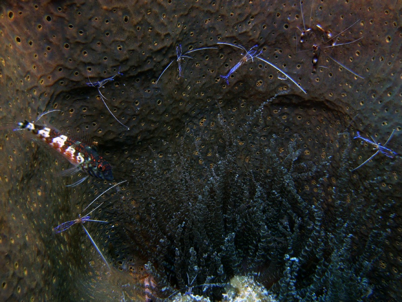 RIMG5790