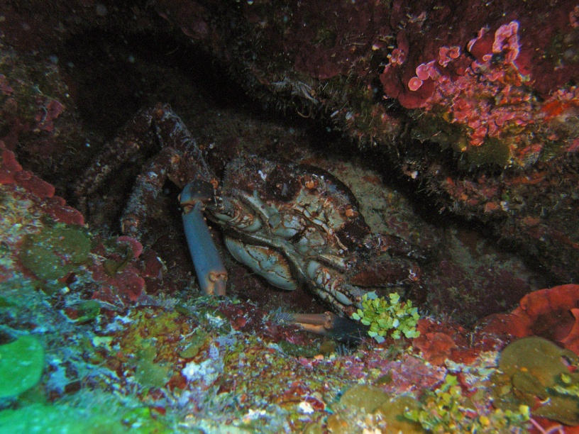 RIMG5879