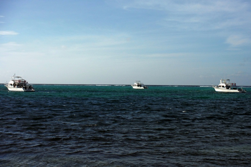 DSCF1069