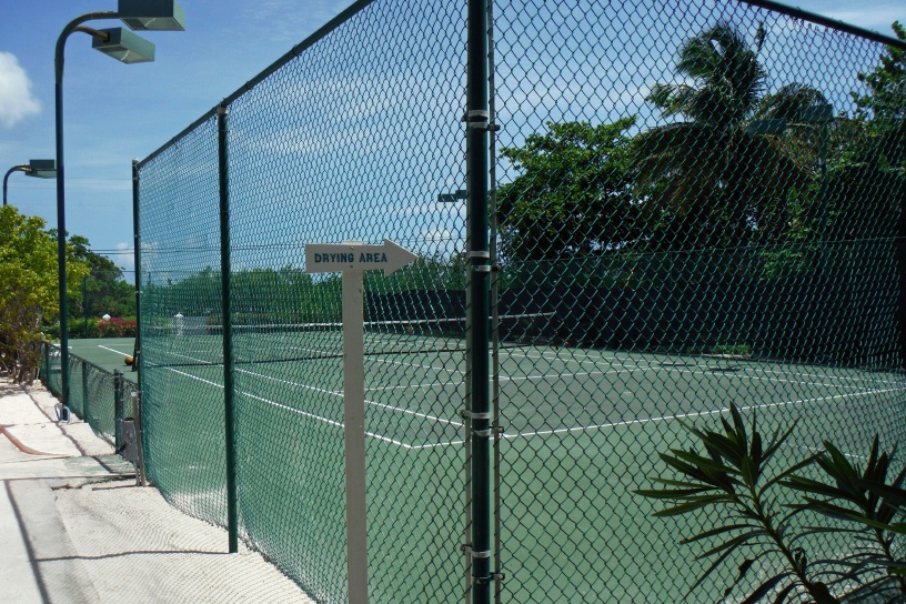 DSCF1116