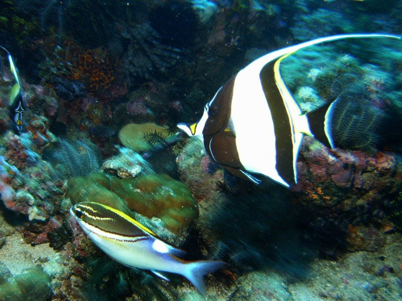 RIMG4575