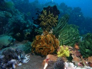 RIMG4545