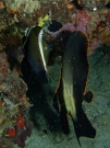 RIMG4540