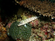 RIMG4557