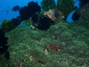 RIMG4571