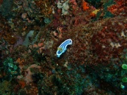 RIMG4588
