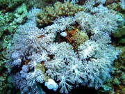 RIMG4591