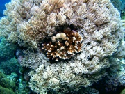 RIMG4632