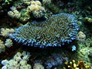 RIMG4661