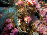 RIMG4673