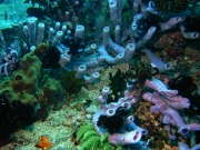 RIMG4679